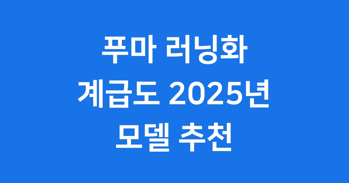 푸마 러닝화 계급도 2025년 모델 추천