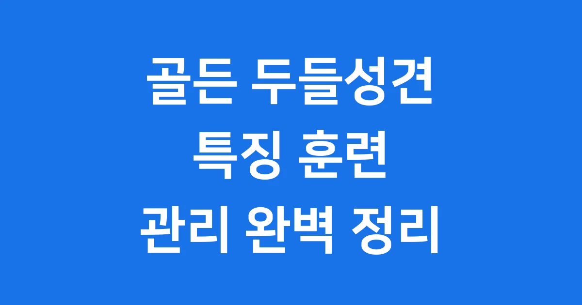 골든 두들 성견 특징 훈련 관리 완벽 정리