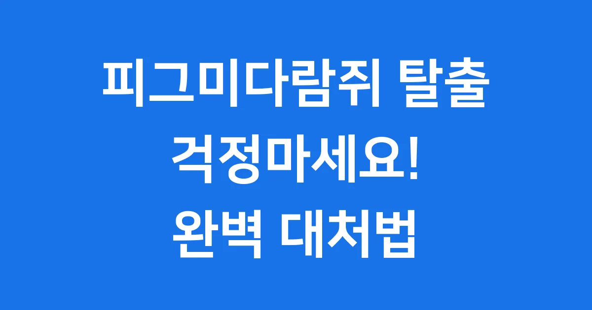 피그미다람쥐 탈출 예방 대처법 총정리