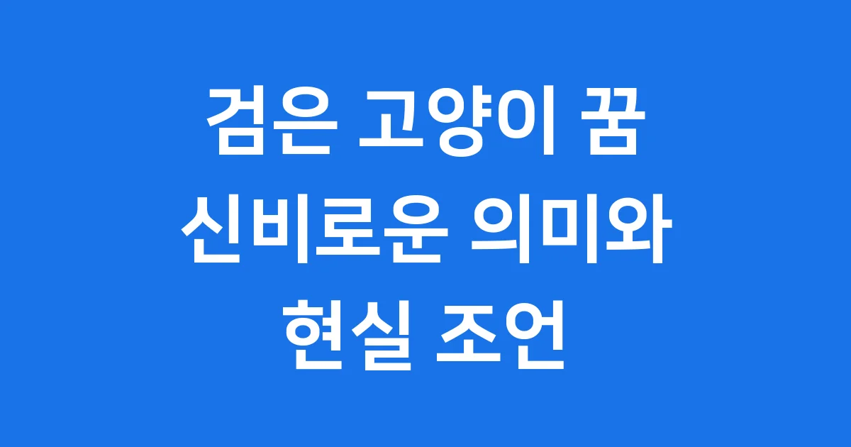 검은 고양이 꿈해몽 신비로운 의미와 현실 조언