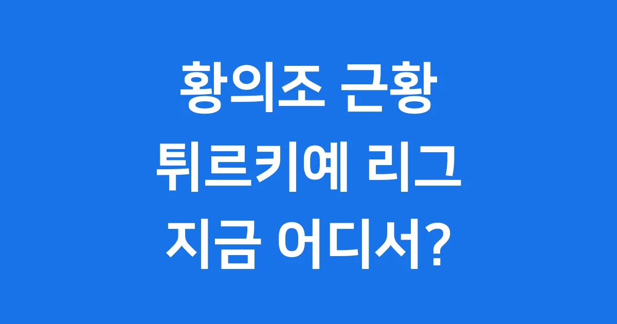 황의조 근황 튀르키예 리그에서 뛰는 모습