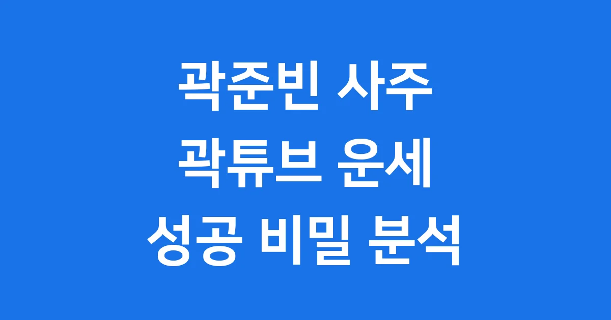 곽준빈 사주 여행 유튜버 곽튜브의 운세 분석