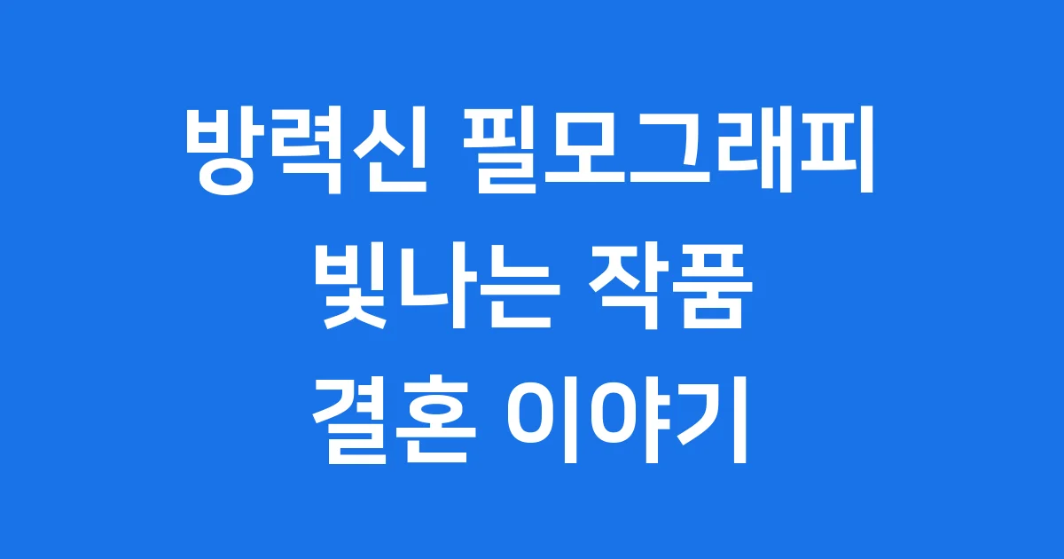 방력신 필모그래피 작품 결혼 이야기