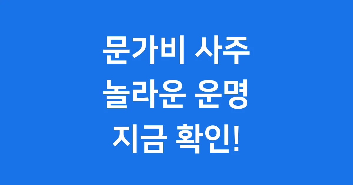 문가비 사주 심층 분석